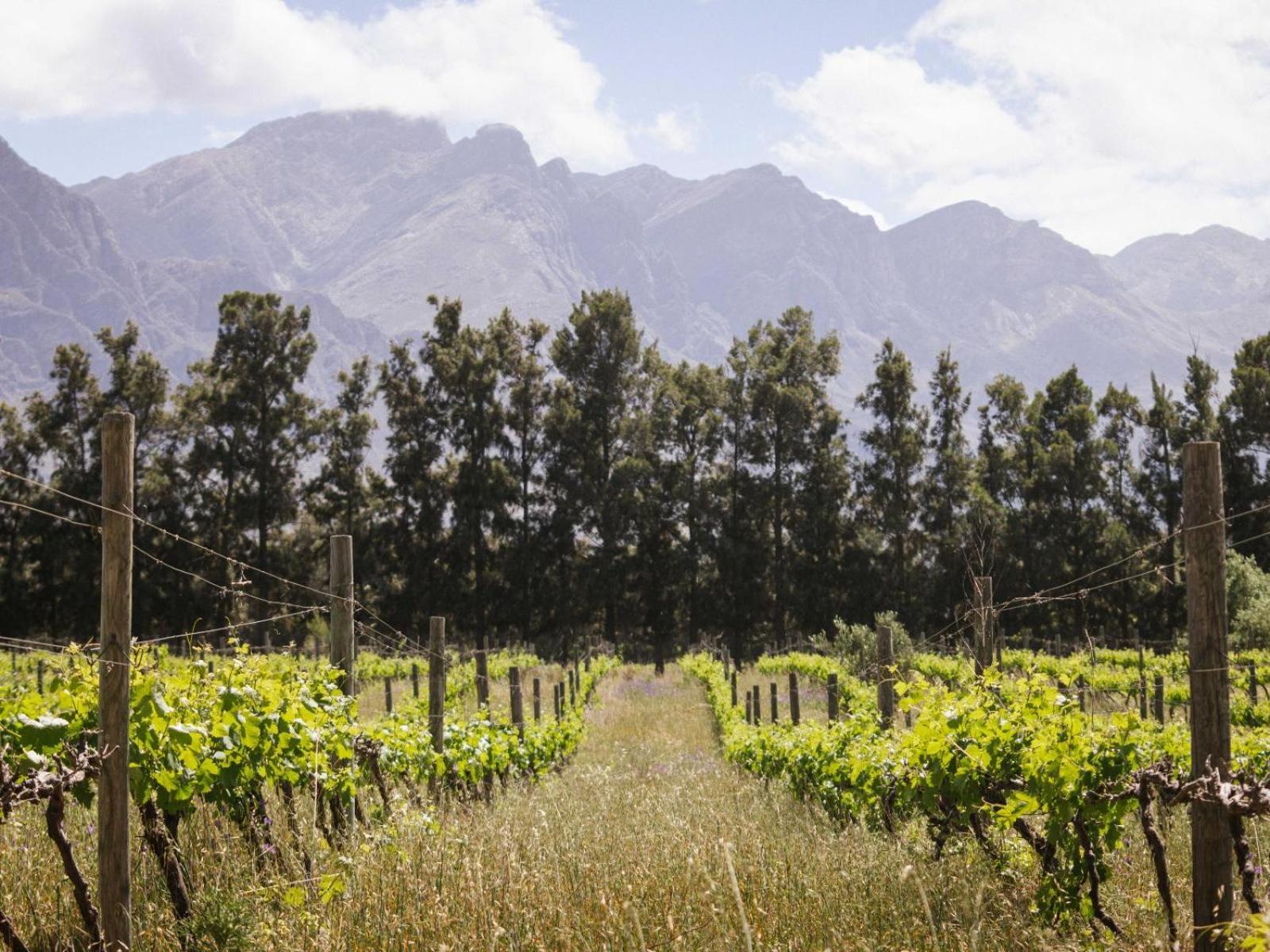 Duikersdrift Winelands Country Escape Hotell Tulbagh Eksteriør bilde