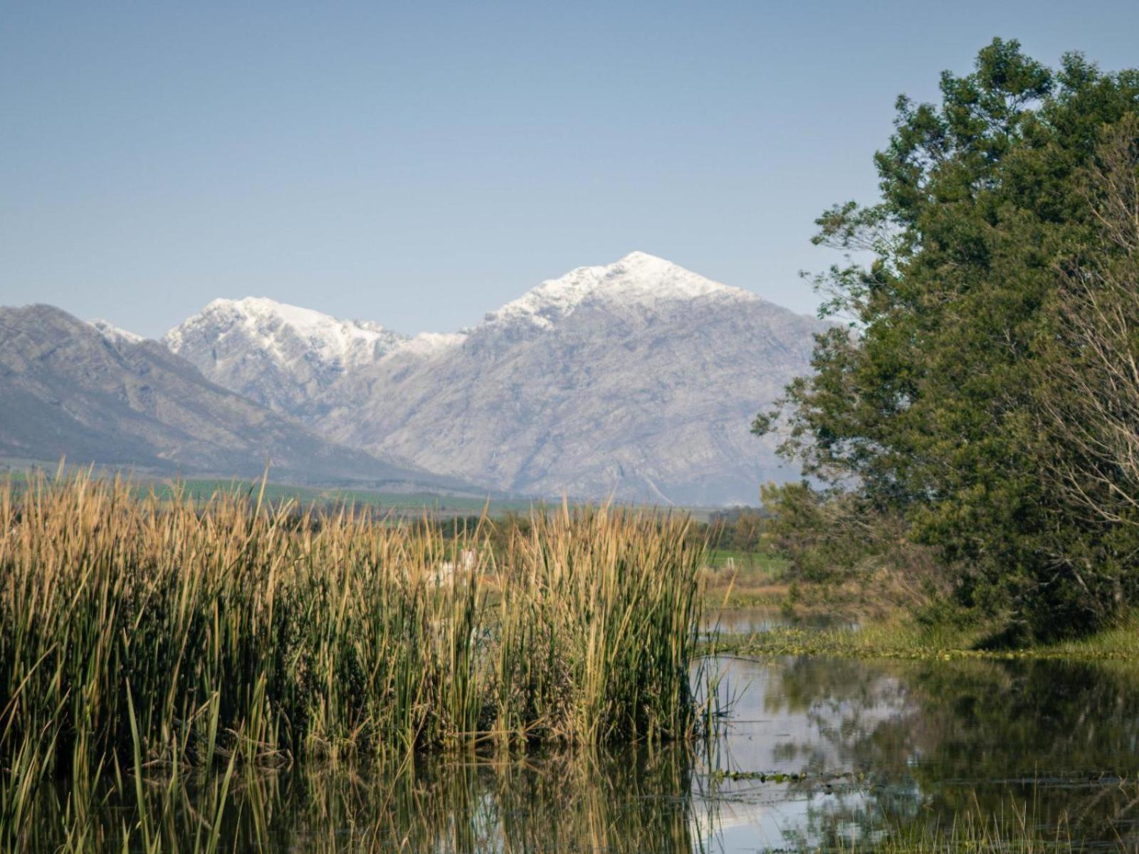 Duikersdrift Winelands Country Escape Hotell Tulbagh Eksteriør bilde