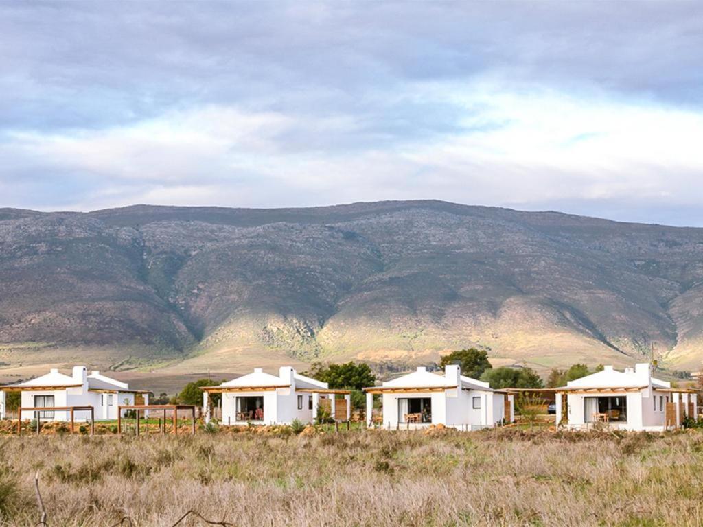Duikersdrift Winelands Country Escape Hotell Tulbagh Eksteriør bilde