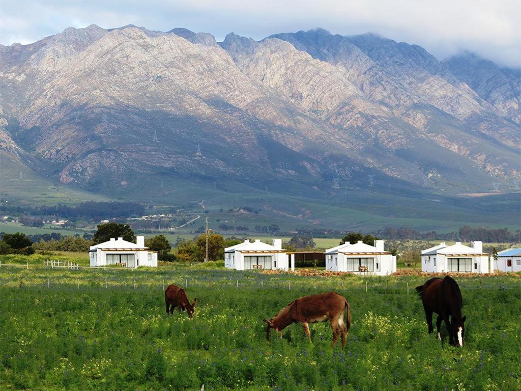 Duikersdrift Winelands Country Escape Hotell Tulbagh Eksteriør bilde